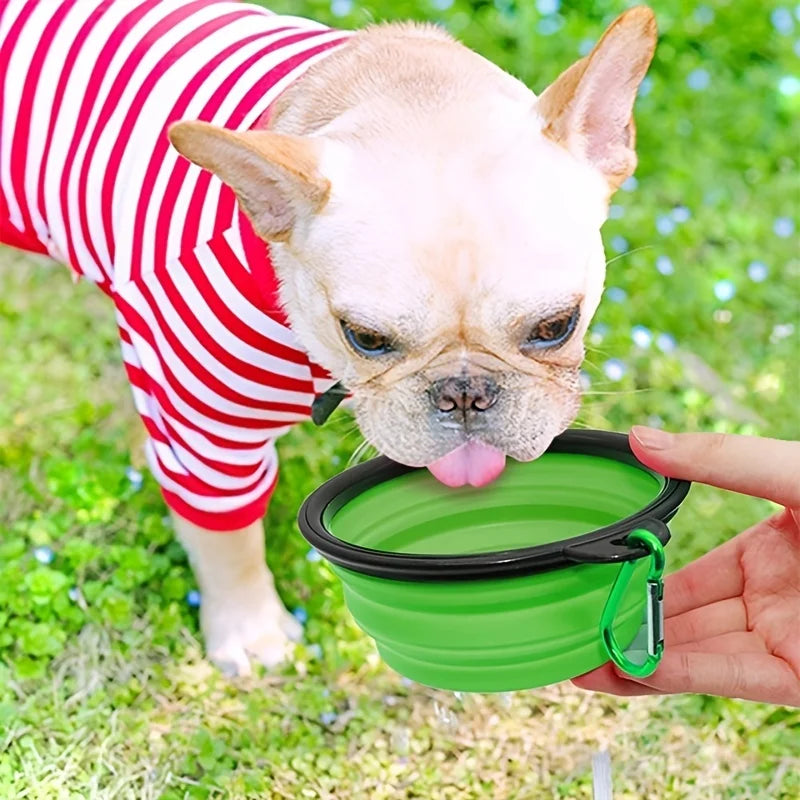 Portable Collapsible Dog Travel Bowl – Lightweight & Easy to Carry